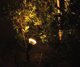  Подсветка растений  в саду и парках.